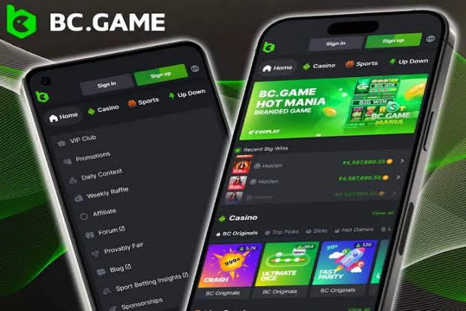 BC.Game Poland App Your Gateway to Mobile Gaming Adventure